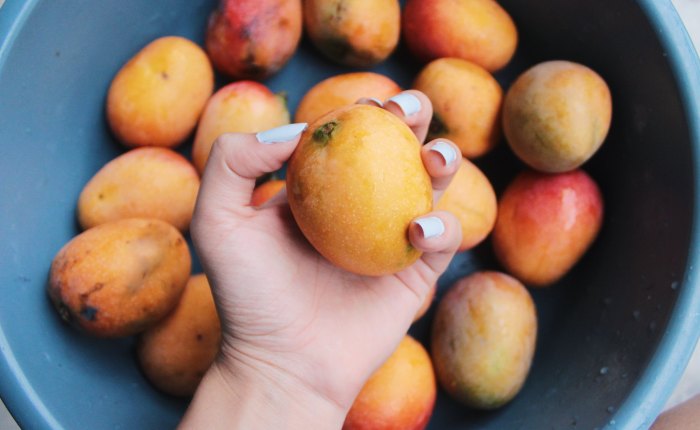 What Mangoes Teach You About Life
